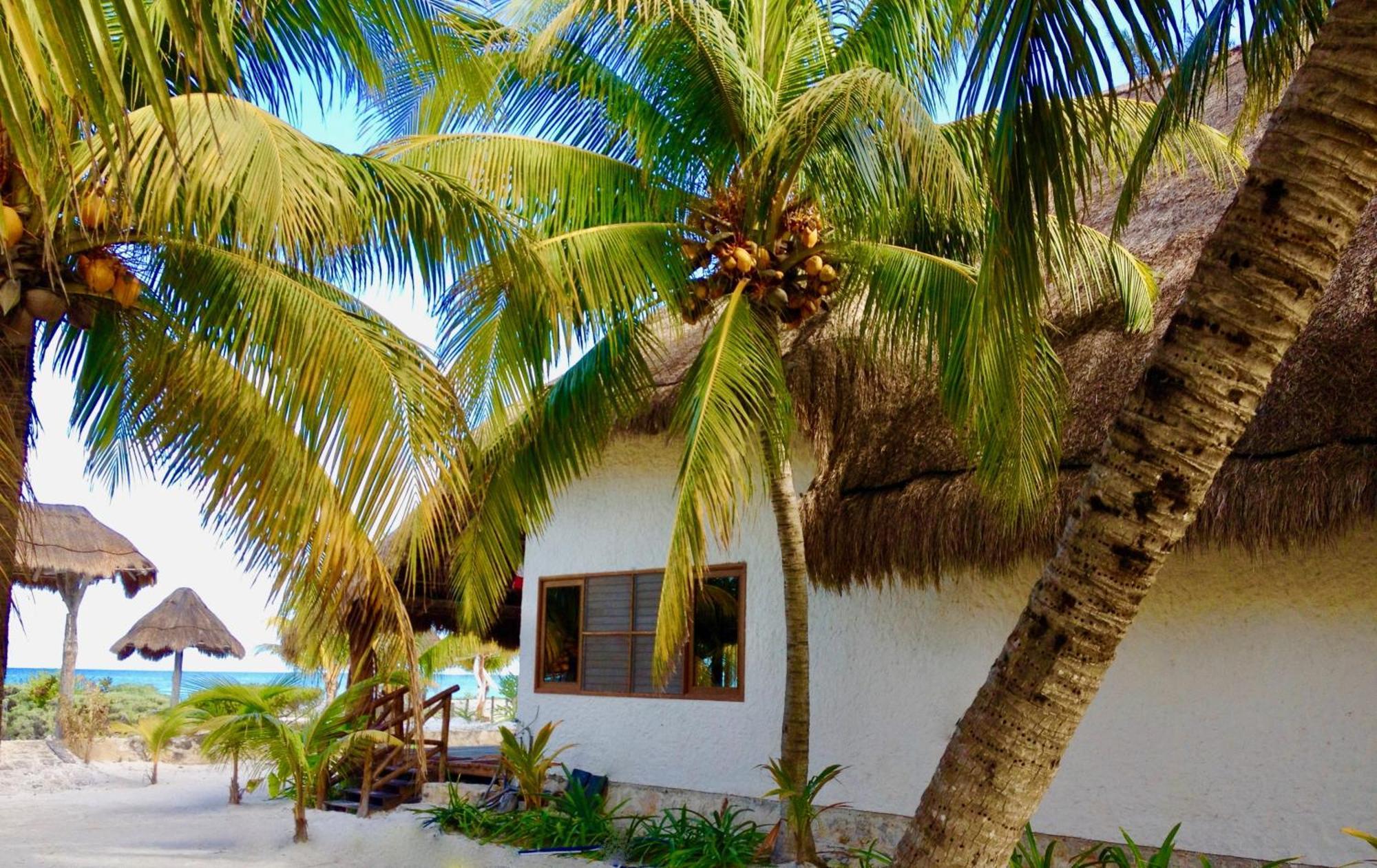 Palapas Del Sol Otel Isla Holbox Oda fotoğraf