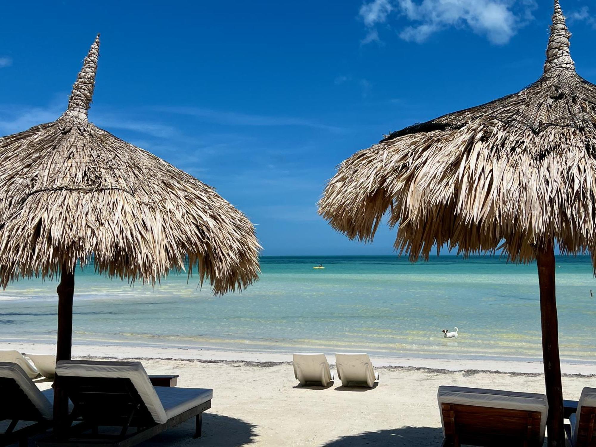 Palapas Del Sol Otel Isla Holbox Dış mekan fotoğraf